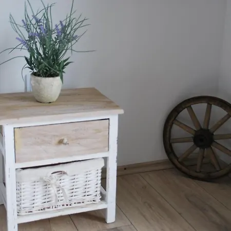 Apartment Danica Murter *